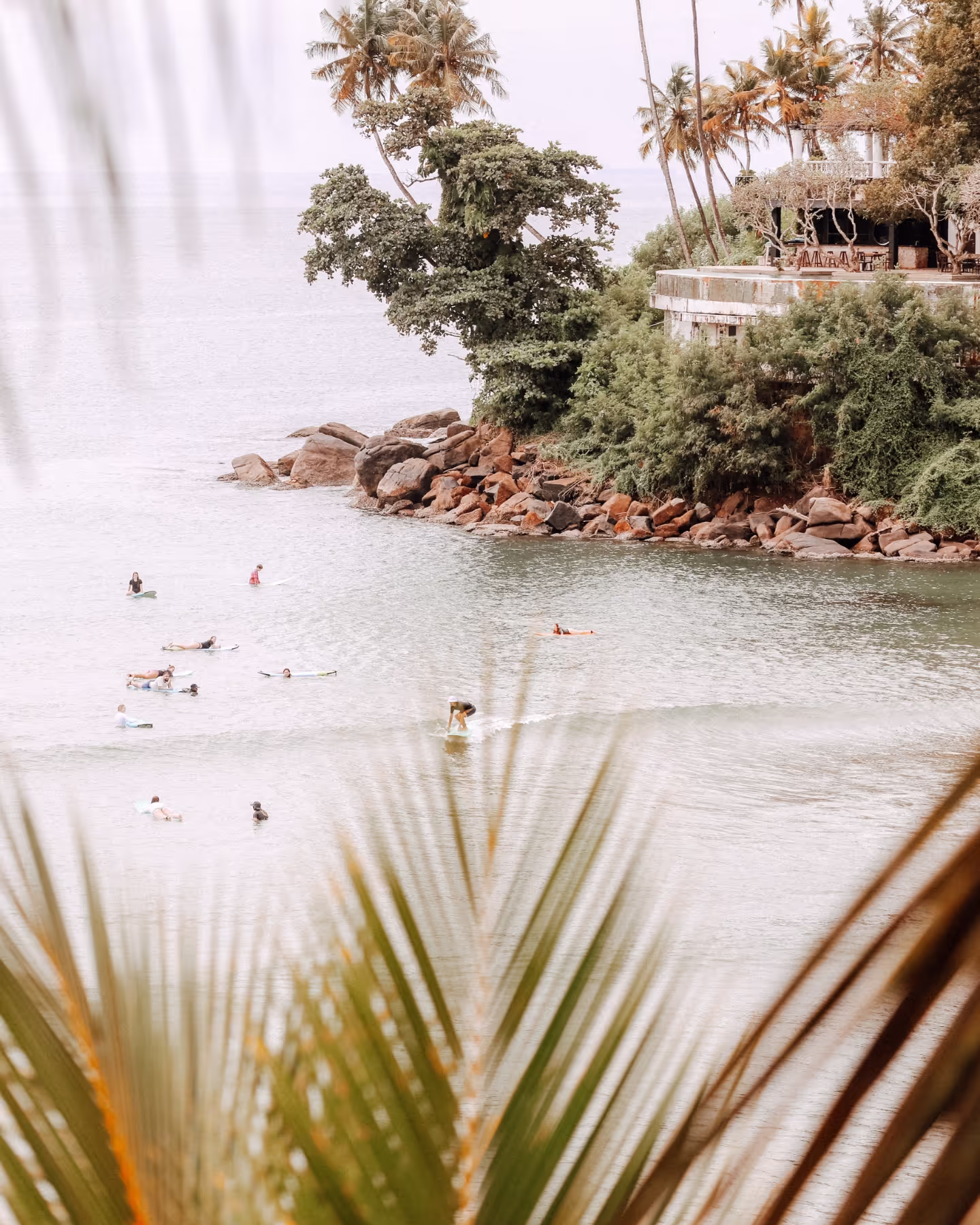 A palm tree is in front of a beach with people swimming in the water.
