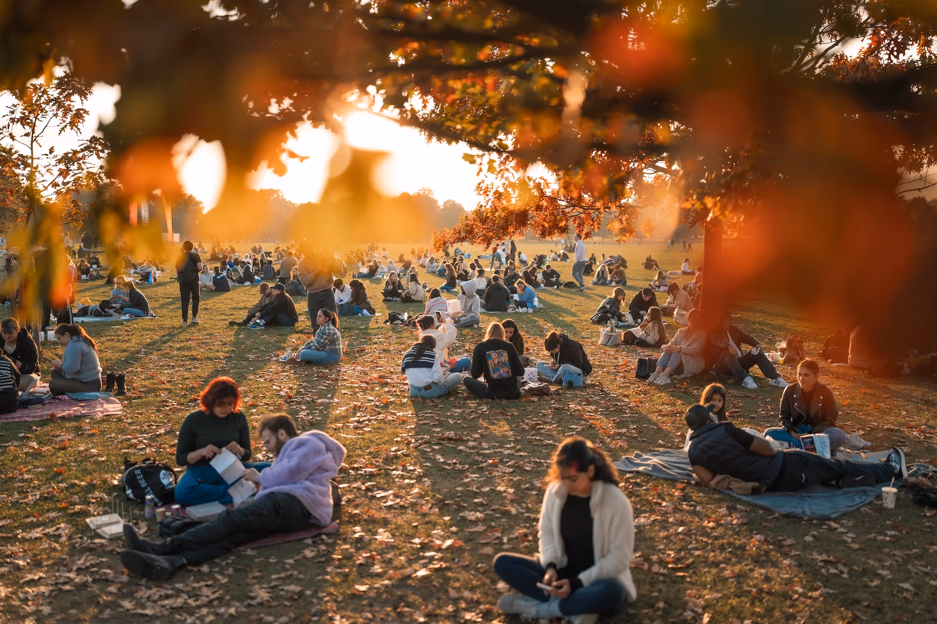 People sitting and relaxing on grass in a park during autumn with orange leaves in the foreground and warm sunlight.