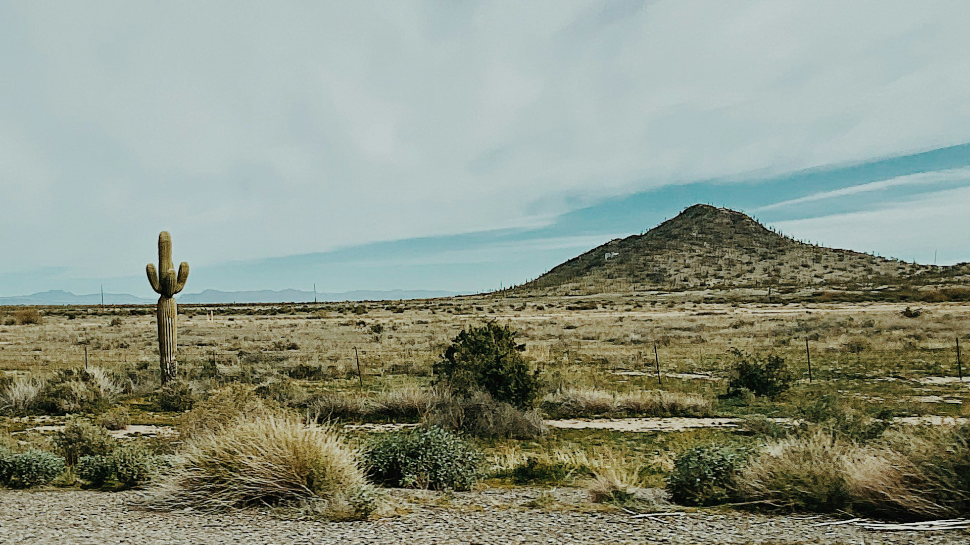 Professional IT support in Phoenix, AZ, ensures seamless operations and minimizes downtime for businesses.