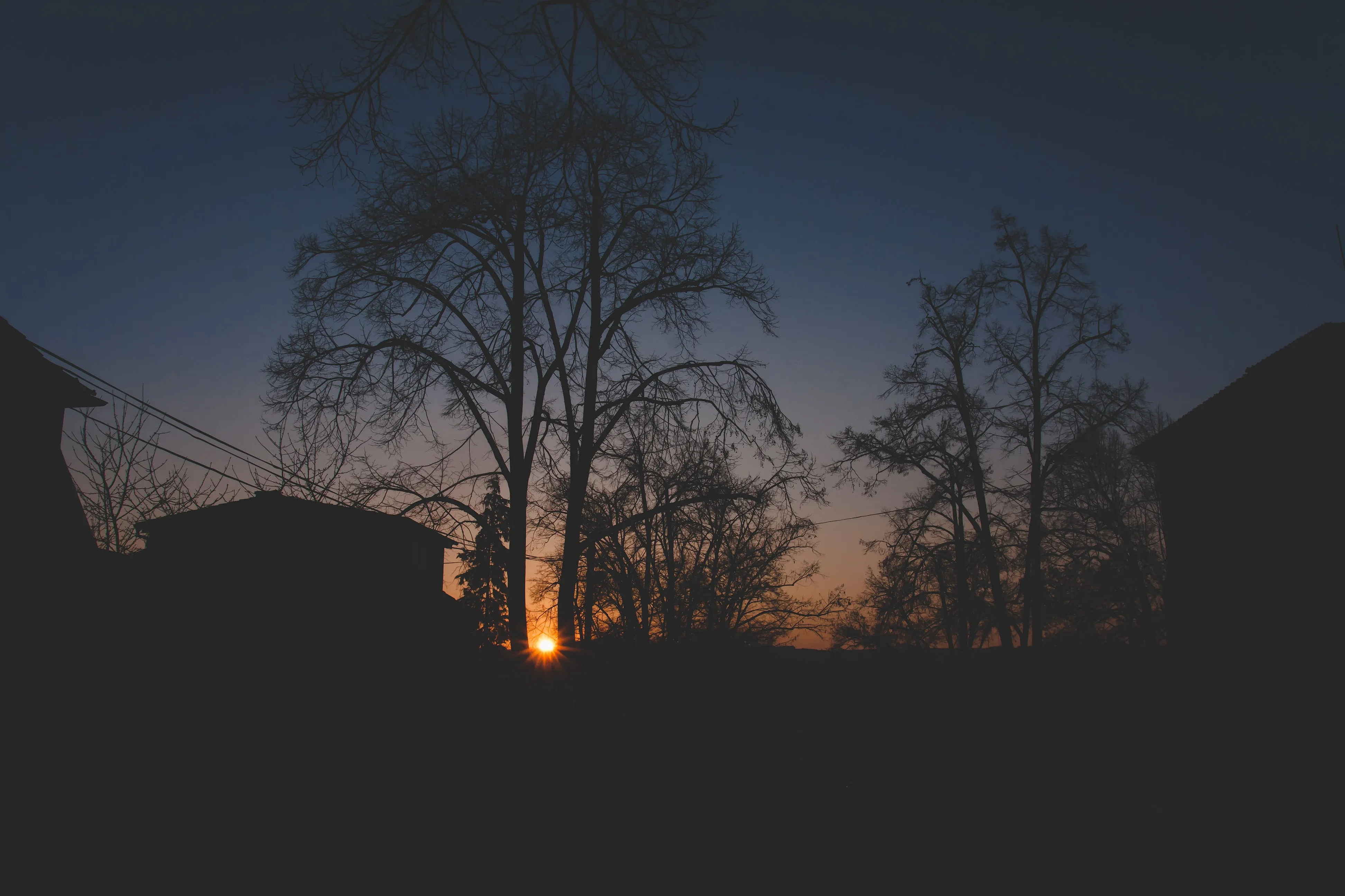 Autumn Night