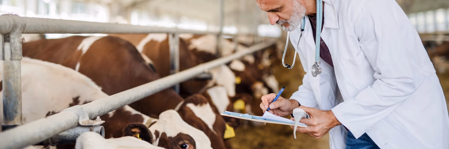 „Ich schätze den Bewegungsunfähigkeitsalarm des SoloProtect-Geräts wirklich sehr; es ist genau das, was unser Team braucht. Die Funktion, die nach einem Sturz den Nutzer überprüft, bevor sie den Notdienst kontaktiert, ist von unschätzbarem Wert. Außerdem war die Unterstützung durch das Verkaufs- und Kundendienstteam ausgezeichnet—immer hilfsbereit und aufmerksam gegenüber unseren Bedürfnissen.“