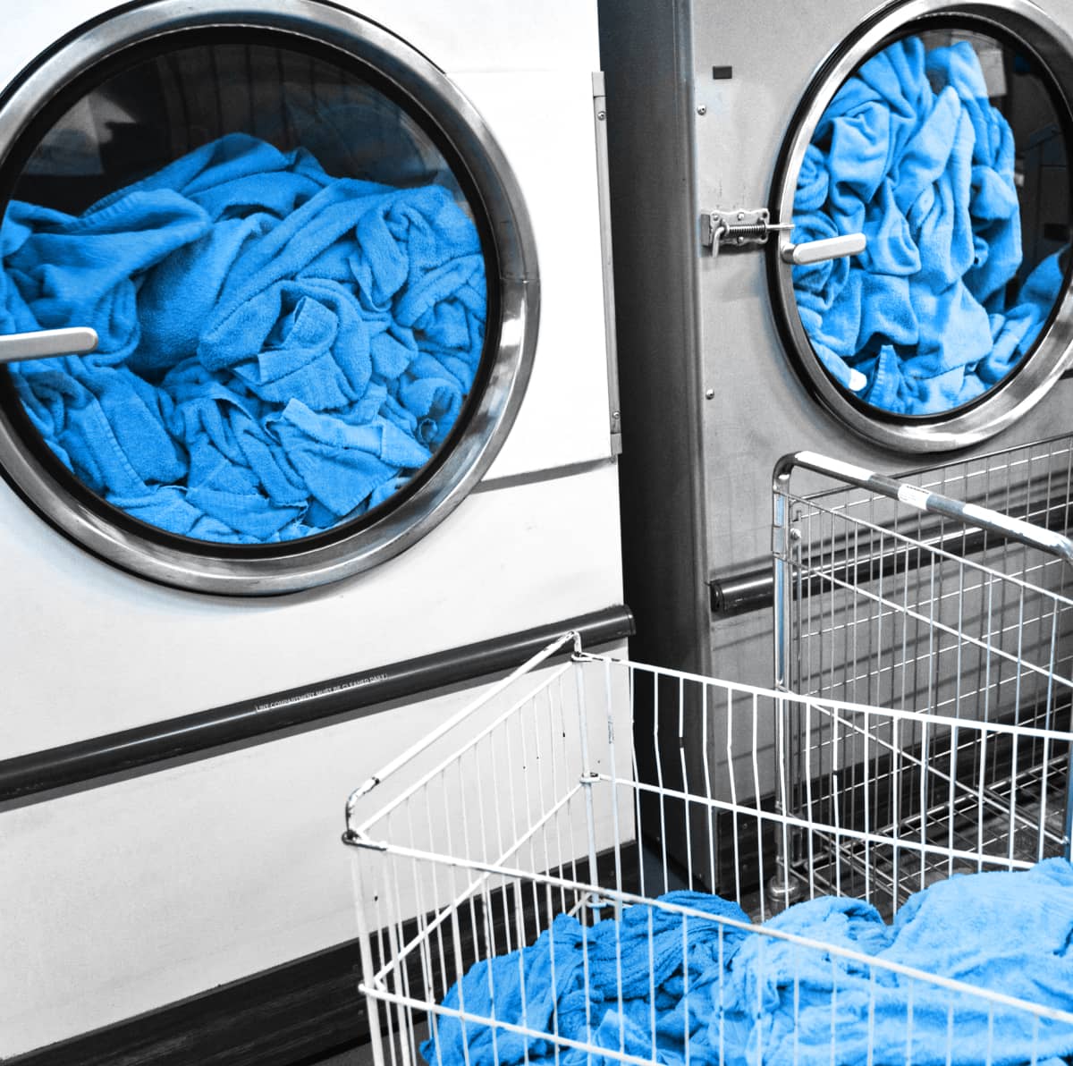 The Story Behind How Our Company Was Founded - Laundry X Webflow Template