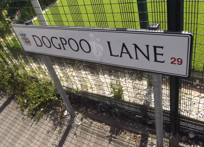 A street sign that says Dog Poo Lane on it.