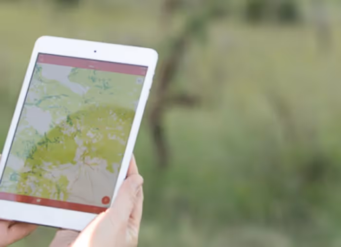 A picture of hands holding an white ipad with a map on it, with blurred out green grass in the background. 
