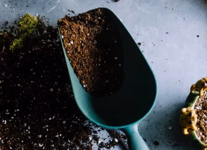A photo of green plastic trowel filled with soil and soil spilling out onto the floor.