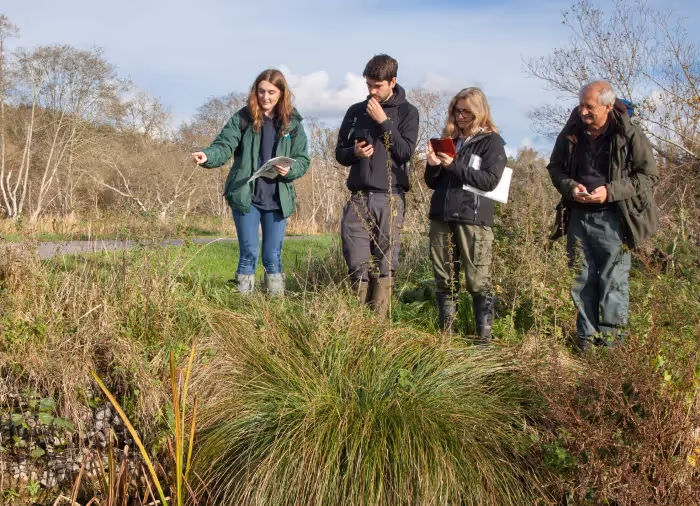 A picture of 4 ecologists standing on the bank of a river, looking making observations and looking at phones