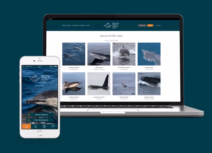 A laptop and a phone showing screenshots from an app and website called Whale Track.