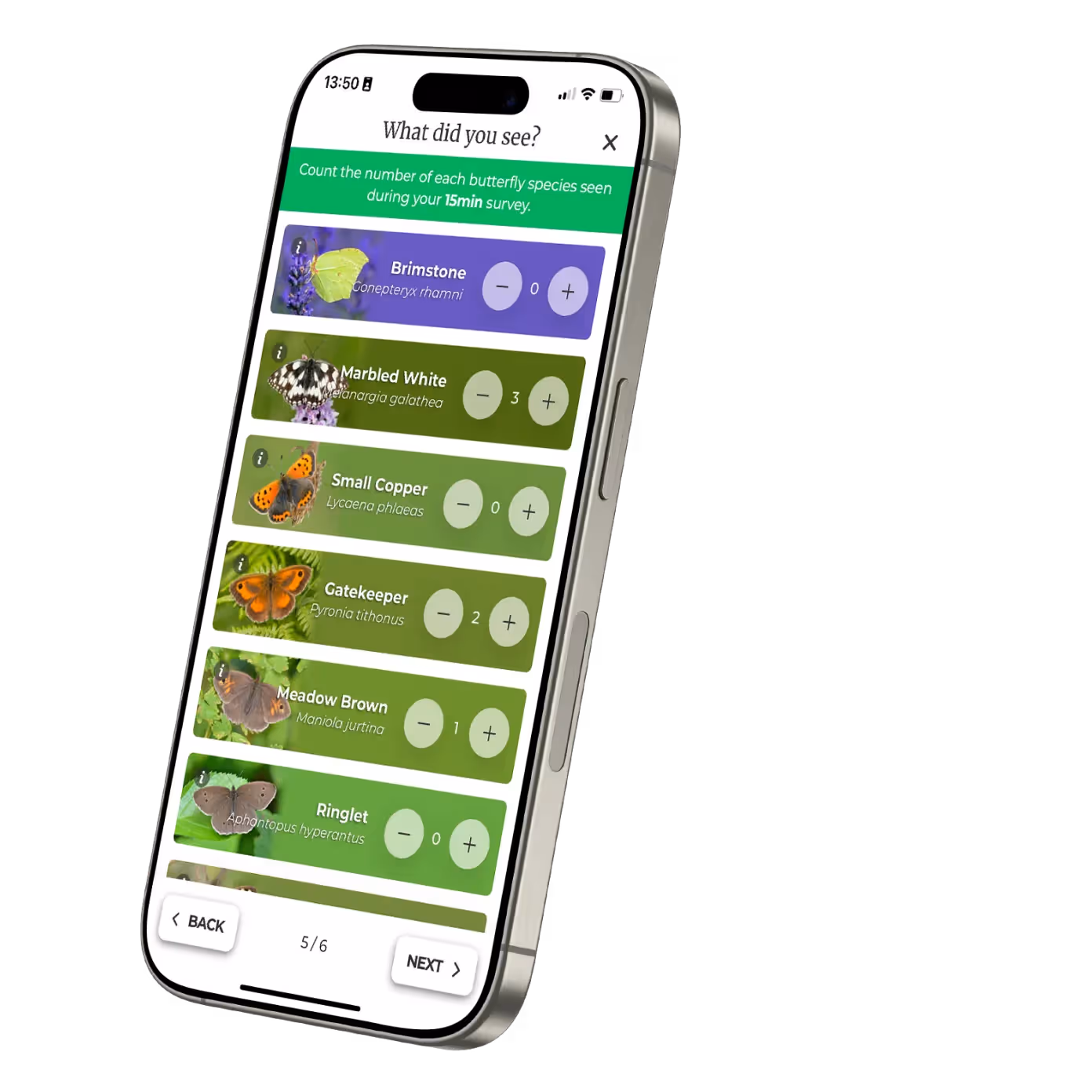 A phone showing a screnshot from the Big Butterfly Count app, with a list of different butterfly species on it.