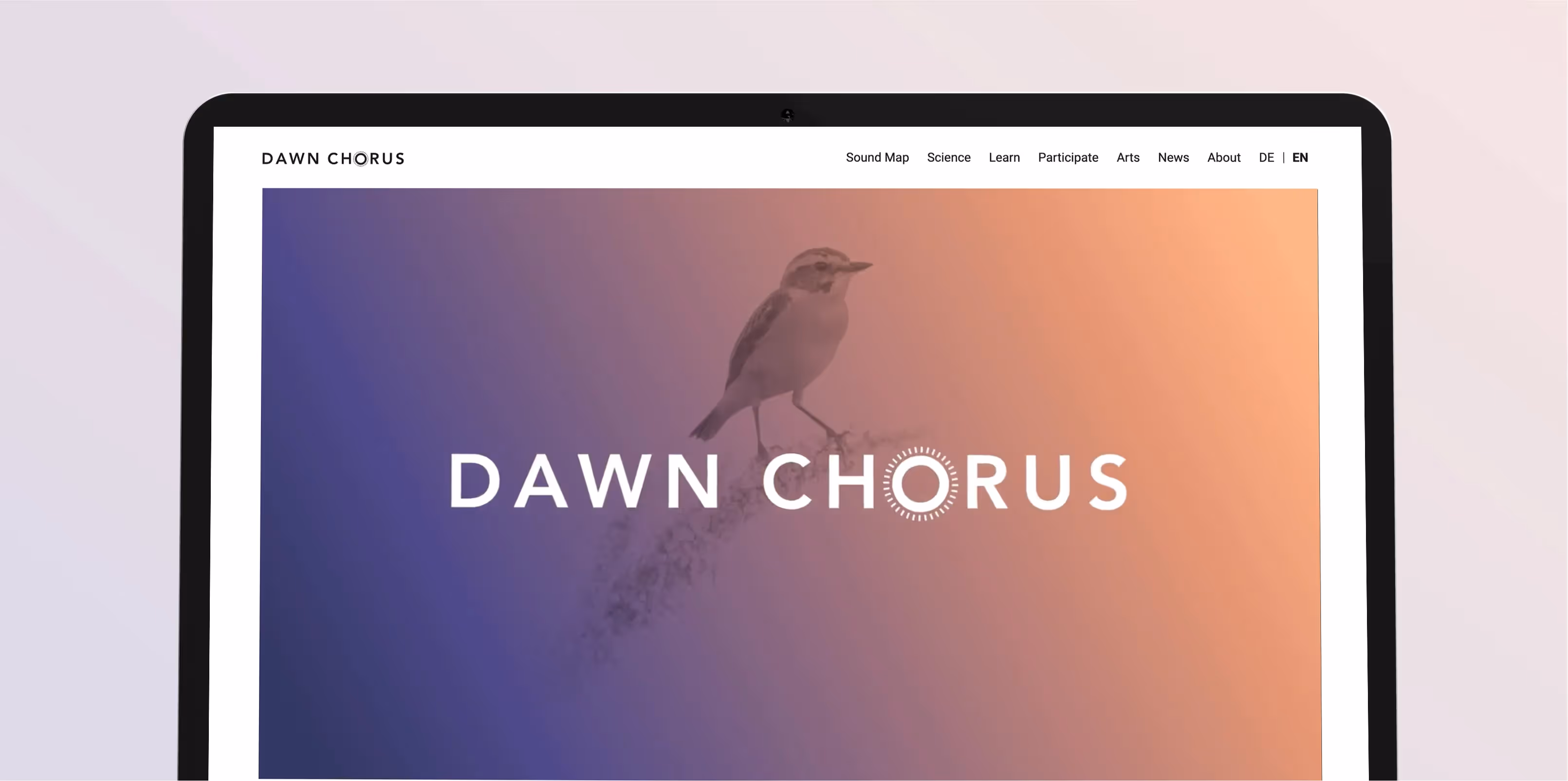 A lpatop screen showing the Dawn Chorus website home page, with a large image graded in purple to pink with a bird and the Dawn Chorus logo on it.