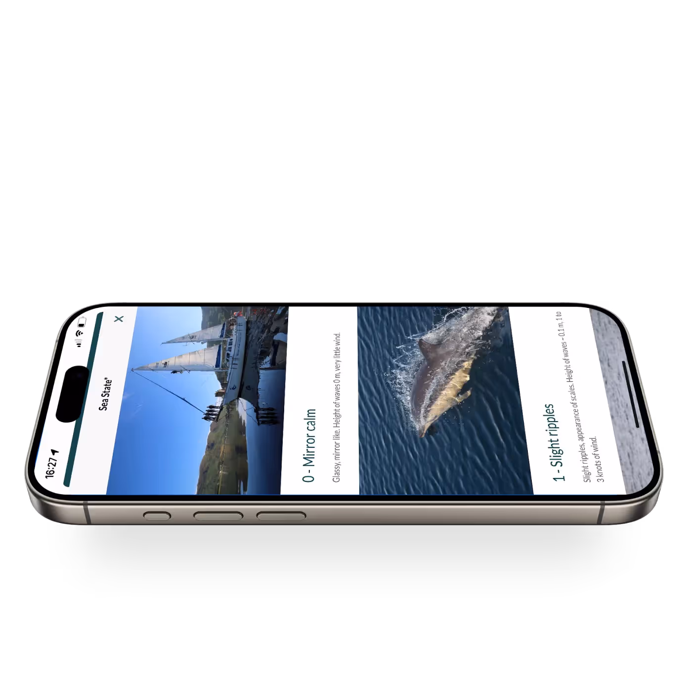 A phone showing the Whale Tracker app with choices of different sea calmness to select.