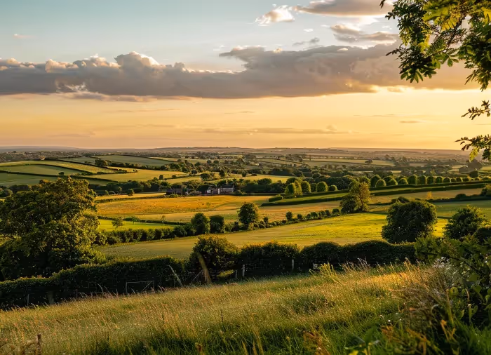 A picture of an english country side with green fields and hedgerows. 