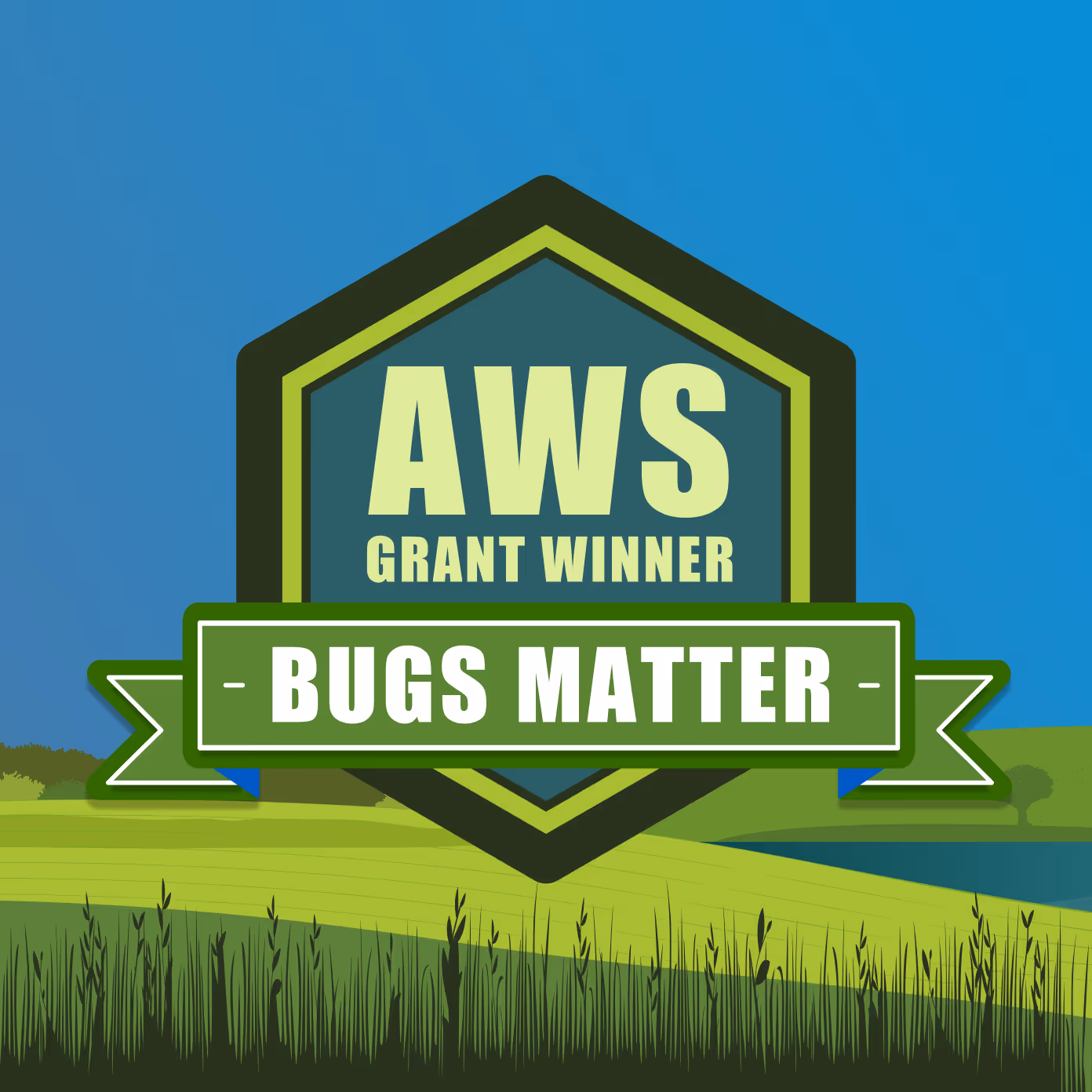 An illustrated badge saying "AWS Grant Winner - Bugs Matter"