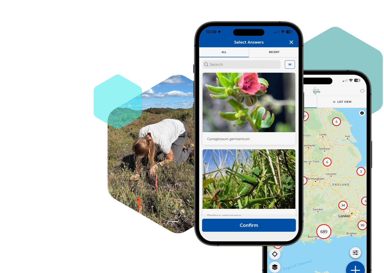 Two phones showing screenshots from the Species Recovery Coreo app