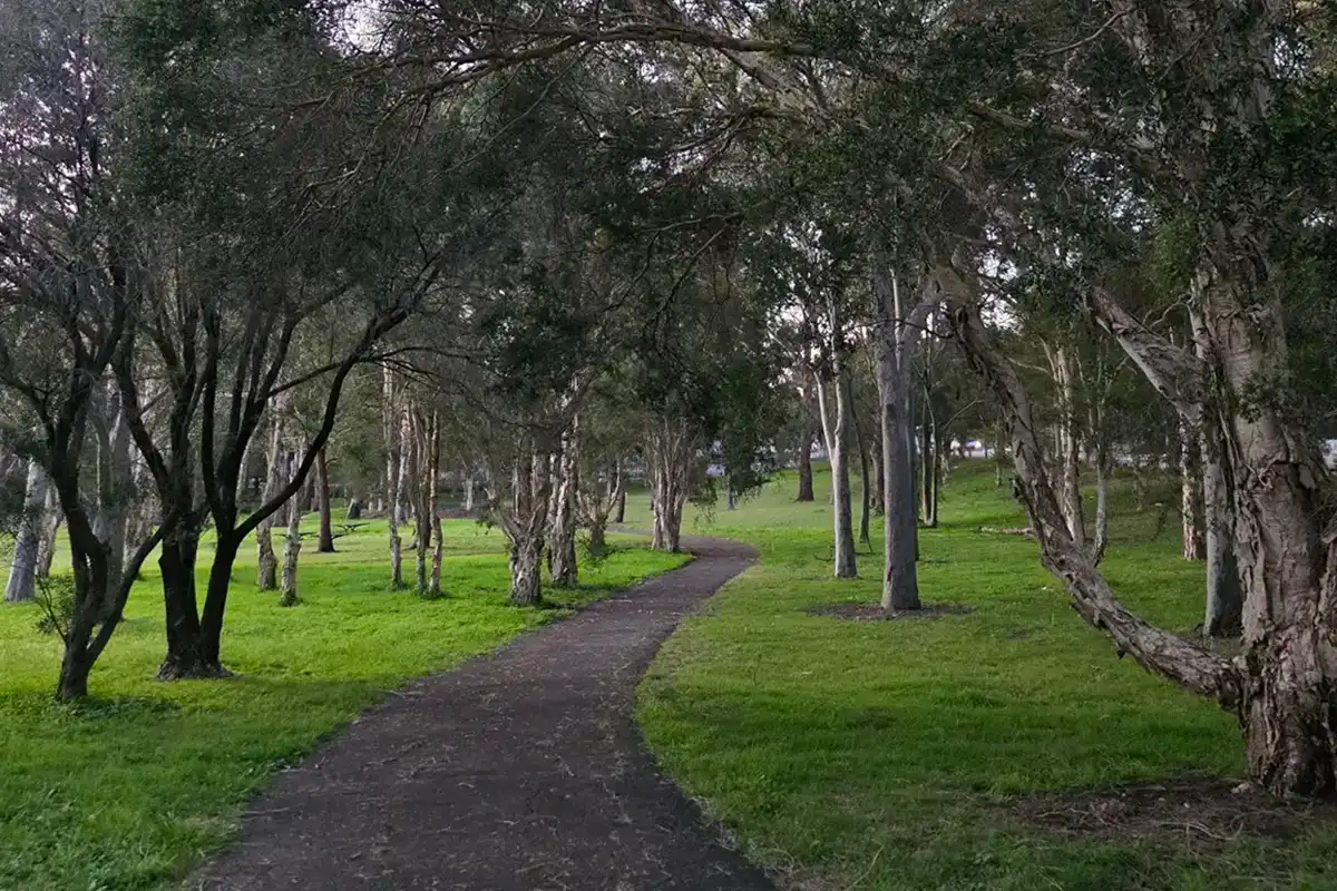 Goanna Park