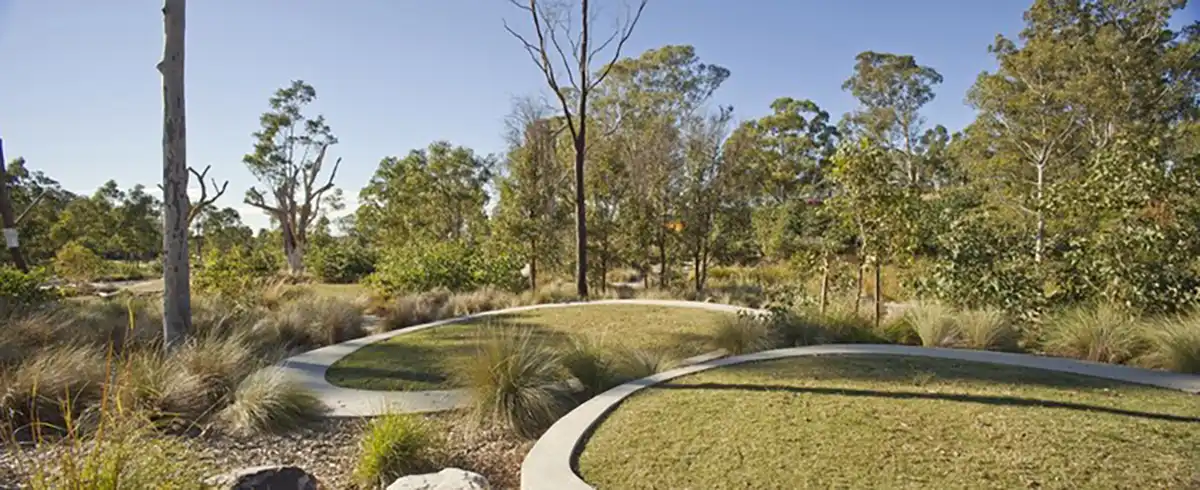 Lizard Log Park