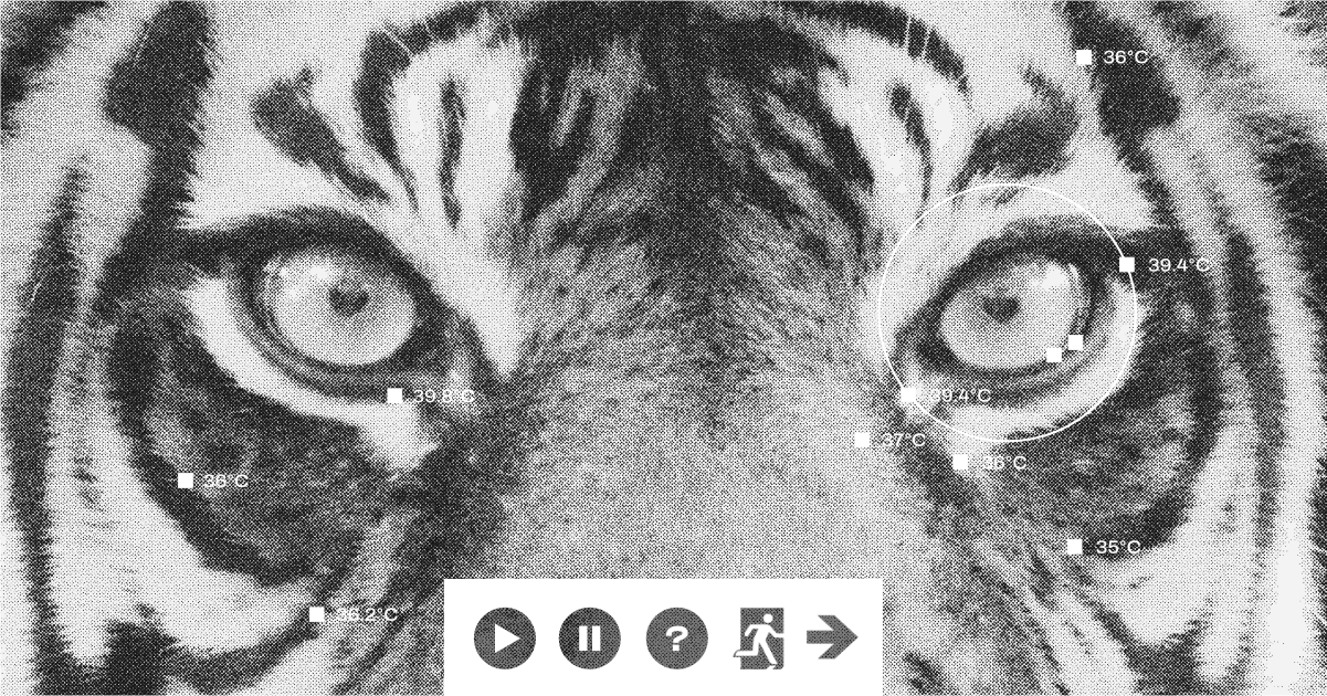 You come face to face with a tiger. What is your first reaction? Behavioral economics in UX.