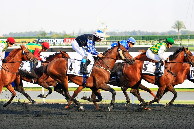 Thrilling Dubai Golden Shaheen horse race sprint at Meydan: jockeys in colorful silks race on dirt track during Dubai World Cup event sponsorship showcase.