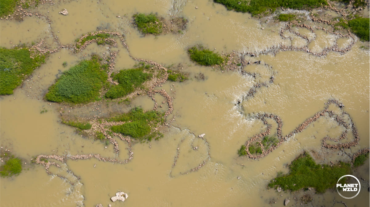 Brewarrina Fish Traps across a river in Australia.