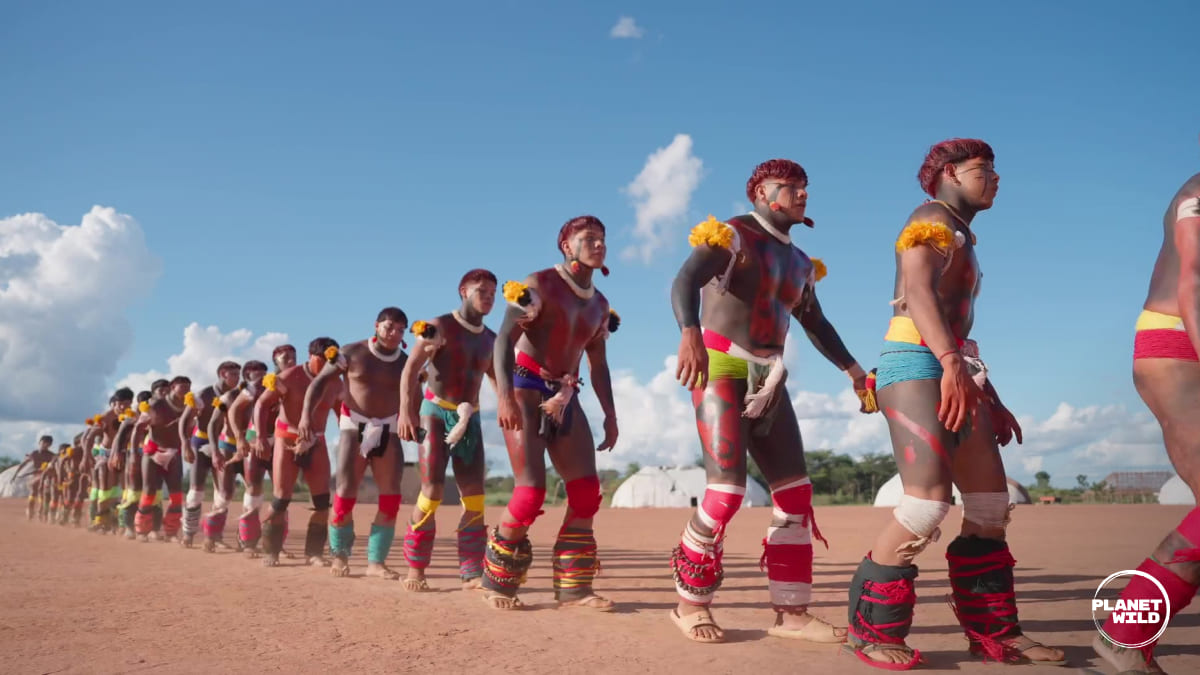 A traditional Xingu ceremony from the people of Yalawpiti village.