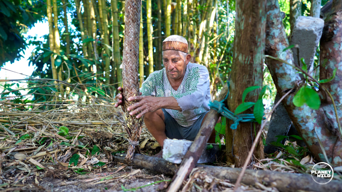 An Indigenous elder creating a wove=n basket out of trees.