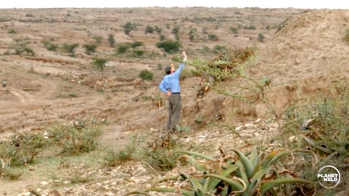 Tony Rinaudo in a light blue shirt and dark pants stands on eroded, sandy terrain with his arm raised, gesturing toward the sparse landscape.