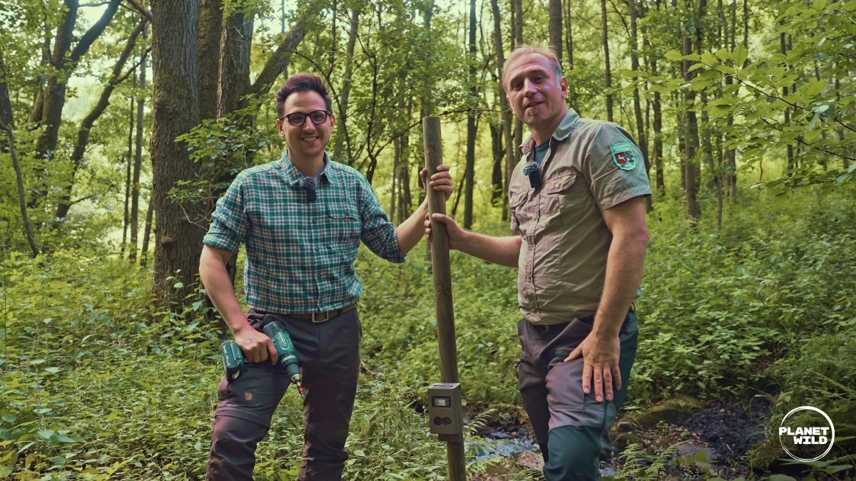 A group of young people laughing.