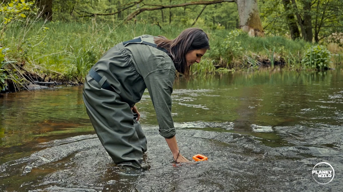 Feli from Planet Wild in a river