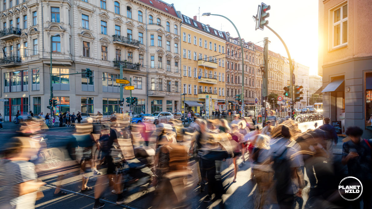 Blurred crowd of pedestrians crossing a busy city street at sunset.