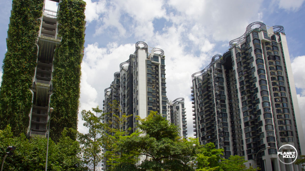 High-rise apartment towers partly covered in climbing green vines, under a cloudy sky.