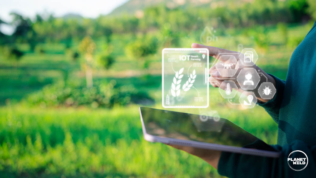 Person holding a tablet in a field, viewing a holographic "IoT Smart Farming" interface.