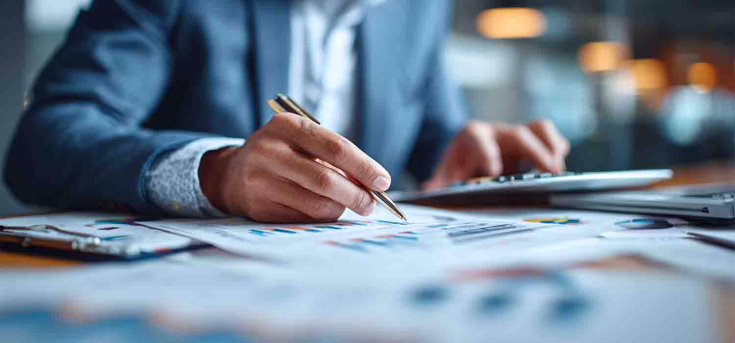 IT professional conducting business audit