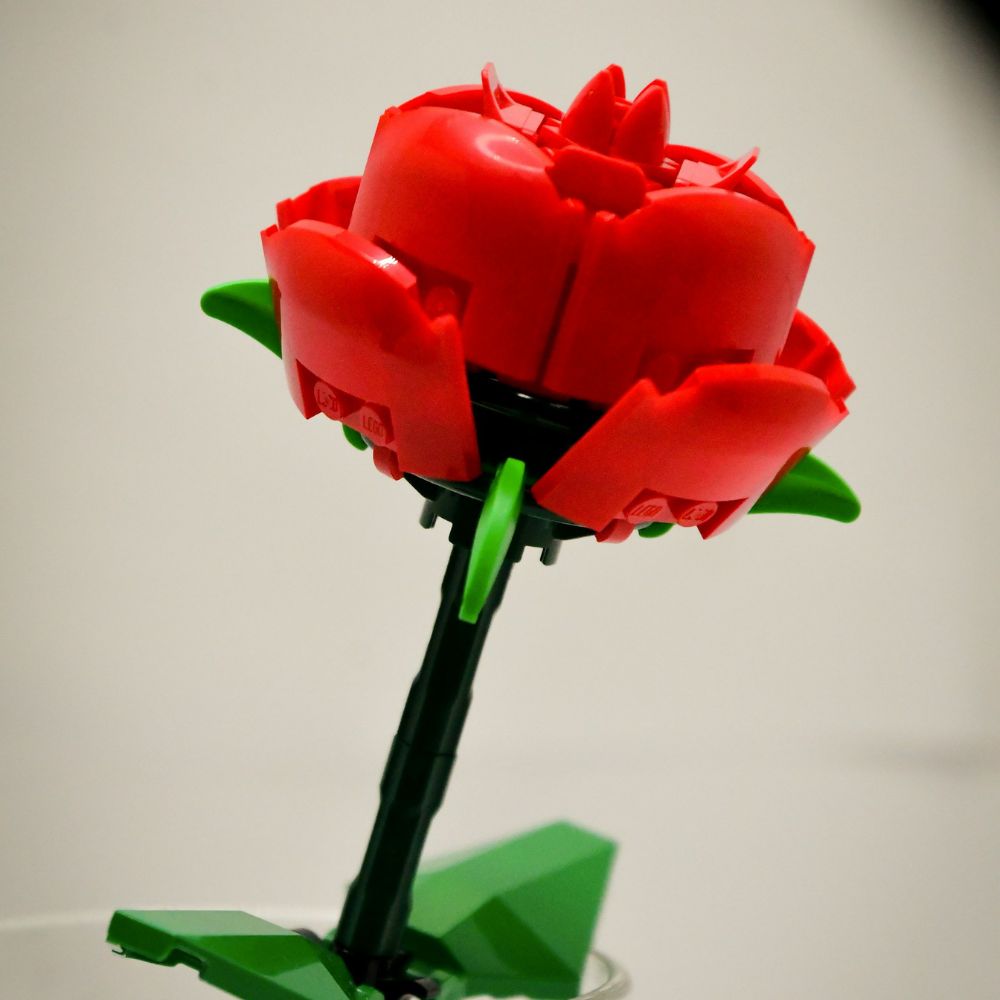 Ateliers LEGO® exclusifs au Flora Danica