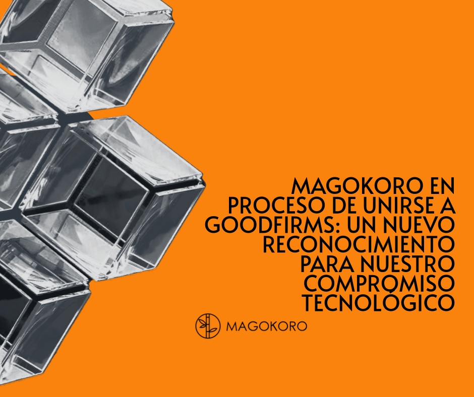 Desarrollo software México