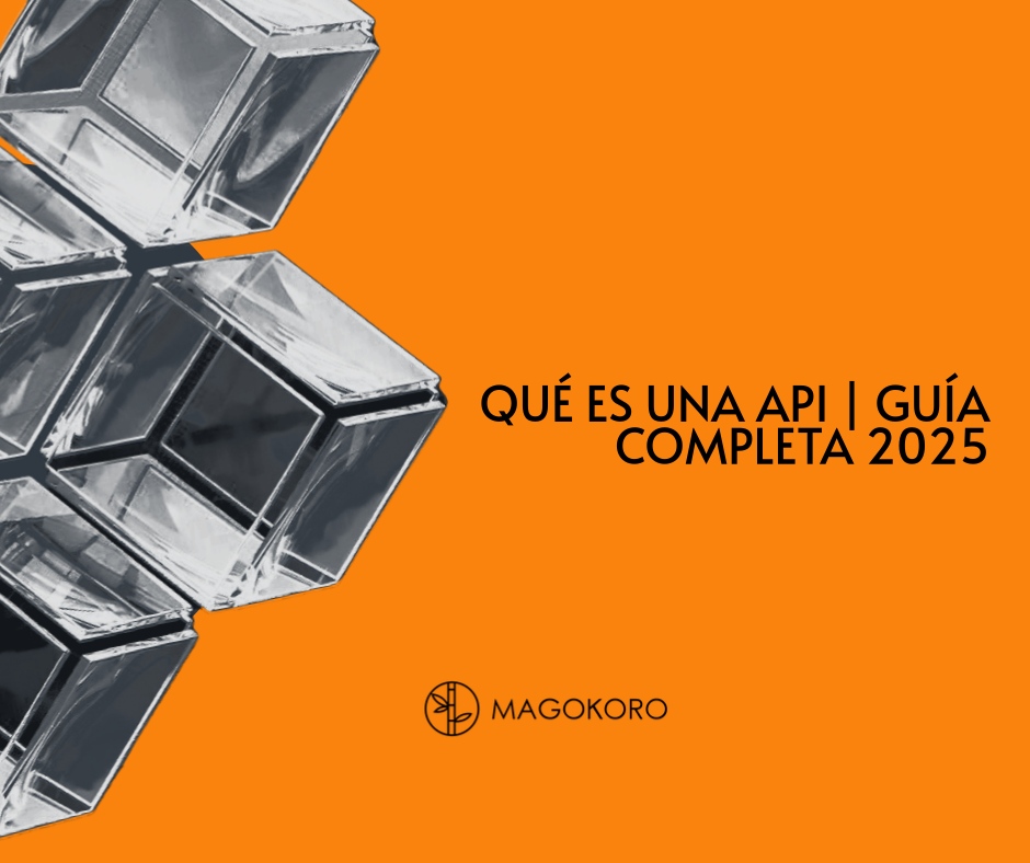 Desarrollo software México