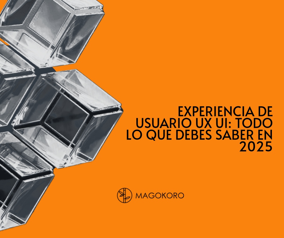 Desarrollo software México