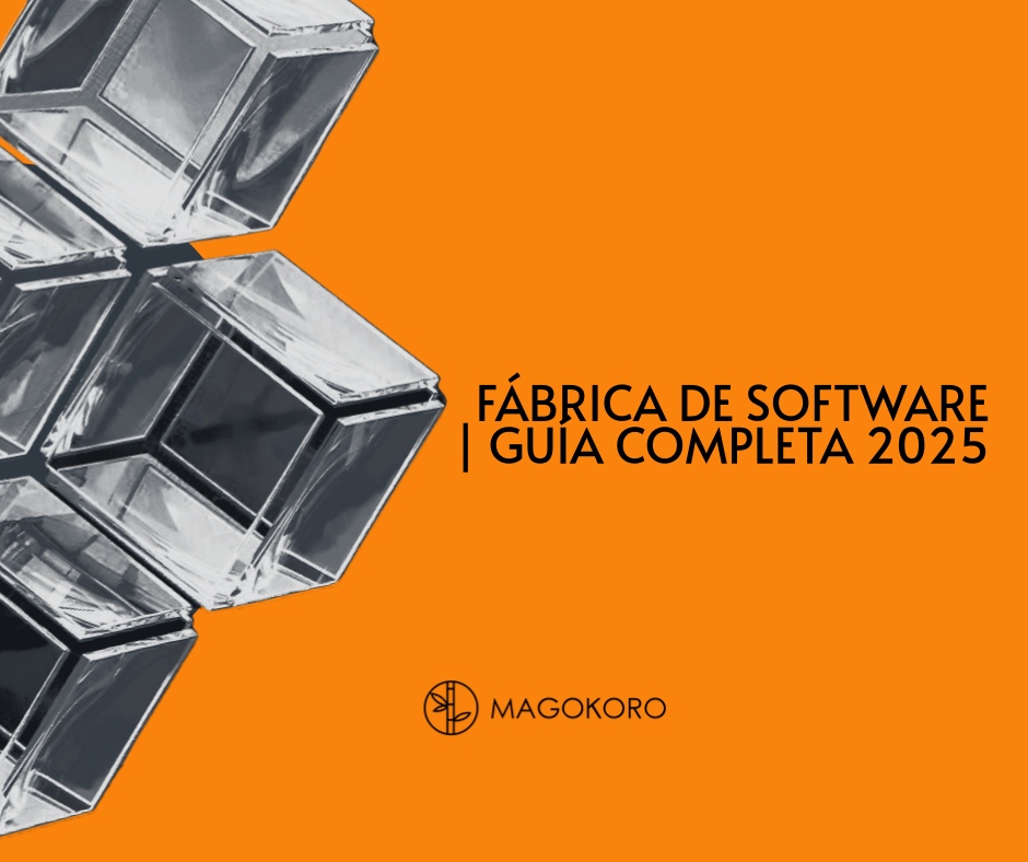 Desarrollo software México
