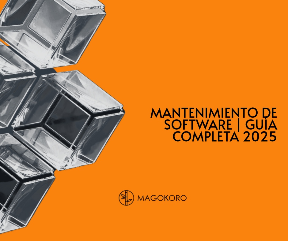 Desarrollo software México