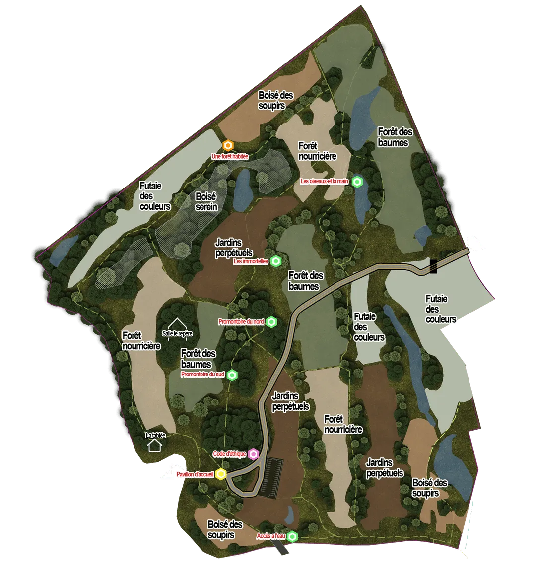 Forest cemetery areas For t de - 665f447b5816538f7a34c0d0 Map Min P 1080 