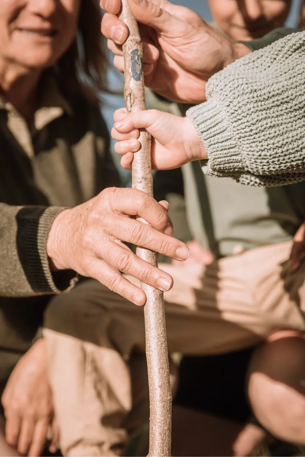 Devenir un arbre au décès