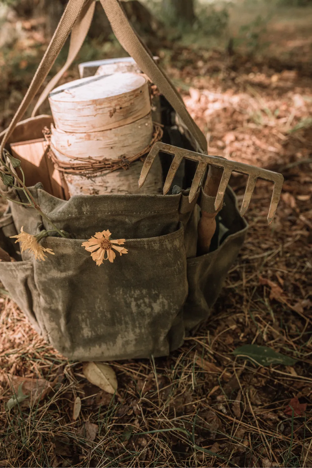 Service de crémation écologique