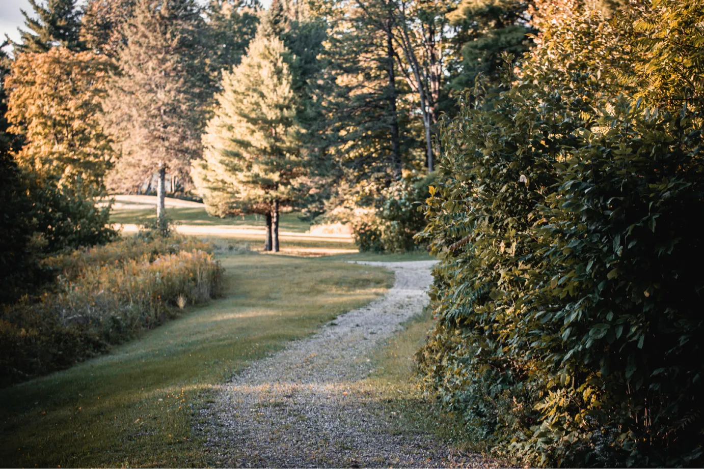 Découvrez les sentiers de notre cimetière | Forêt de la seconde vie