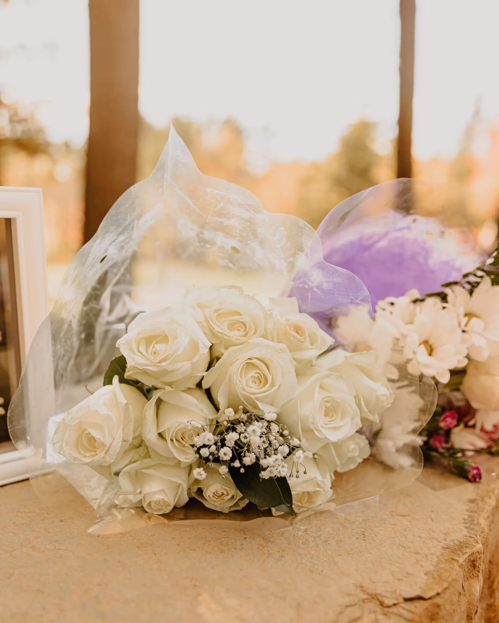 Photo forêt de la seconde vie