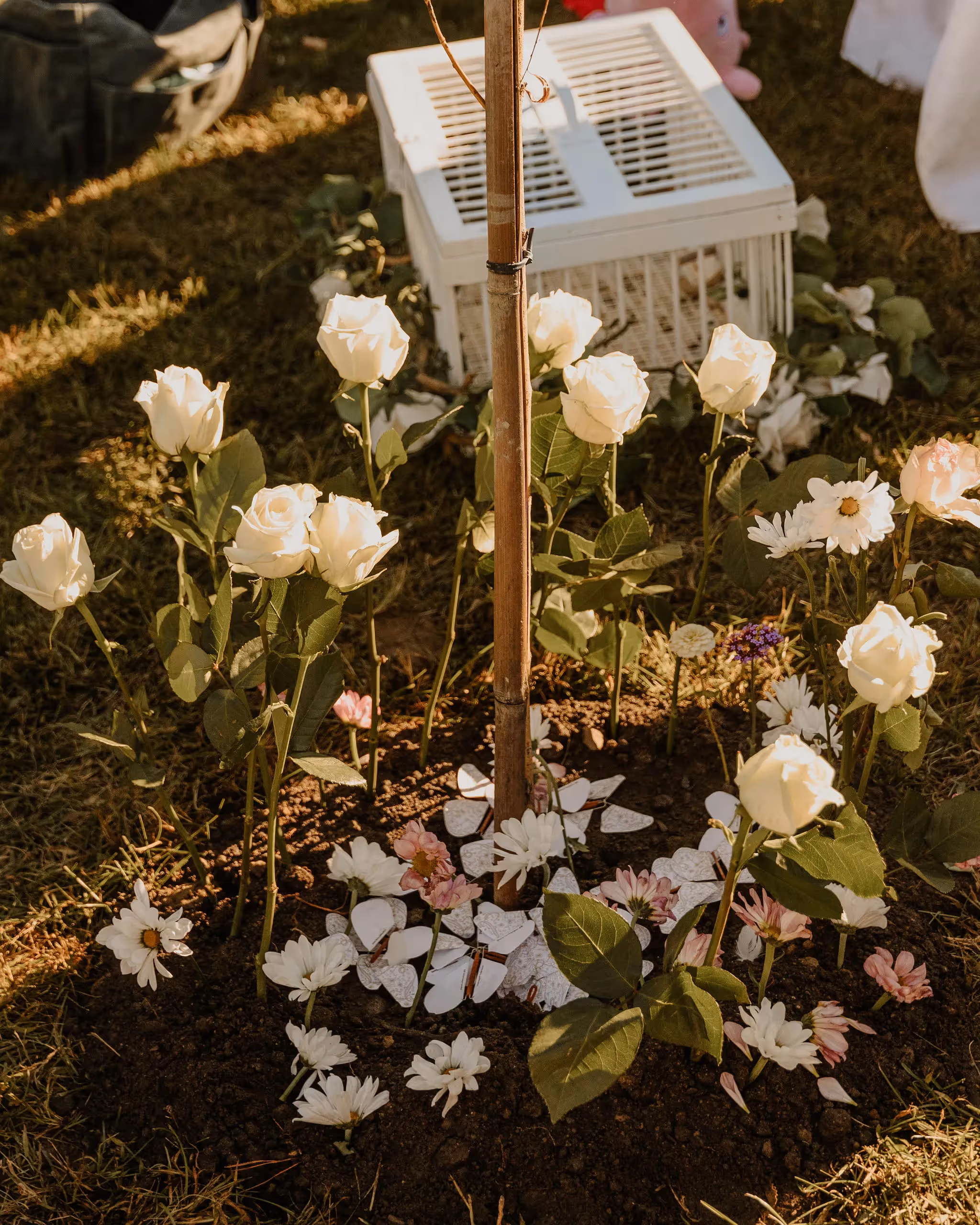 Photo forêt de la seconde vie