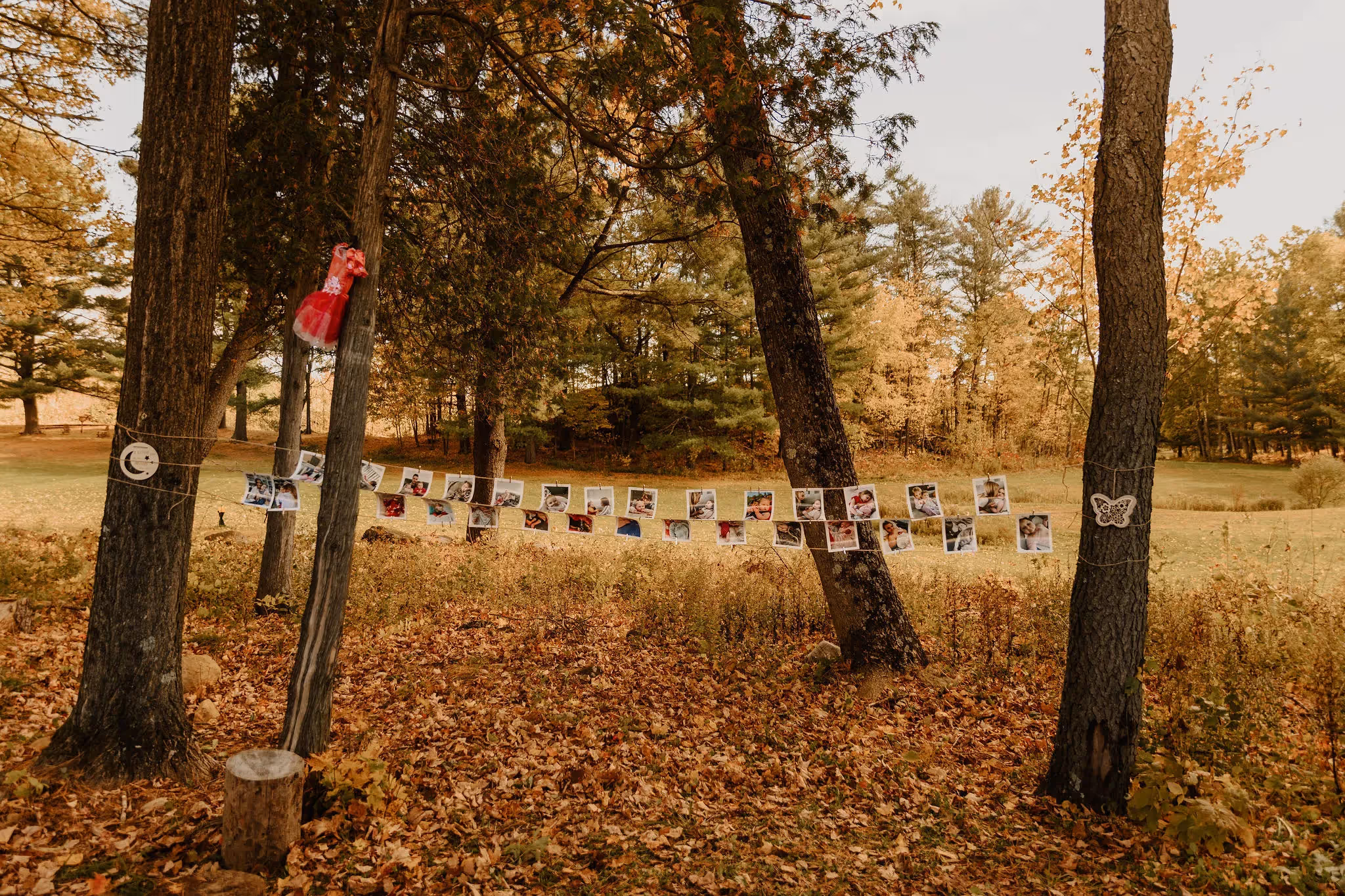 L'adoption de servitude de protection forestière: une pratique funéraire innovante au Québec