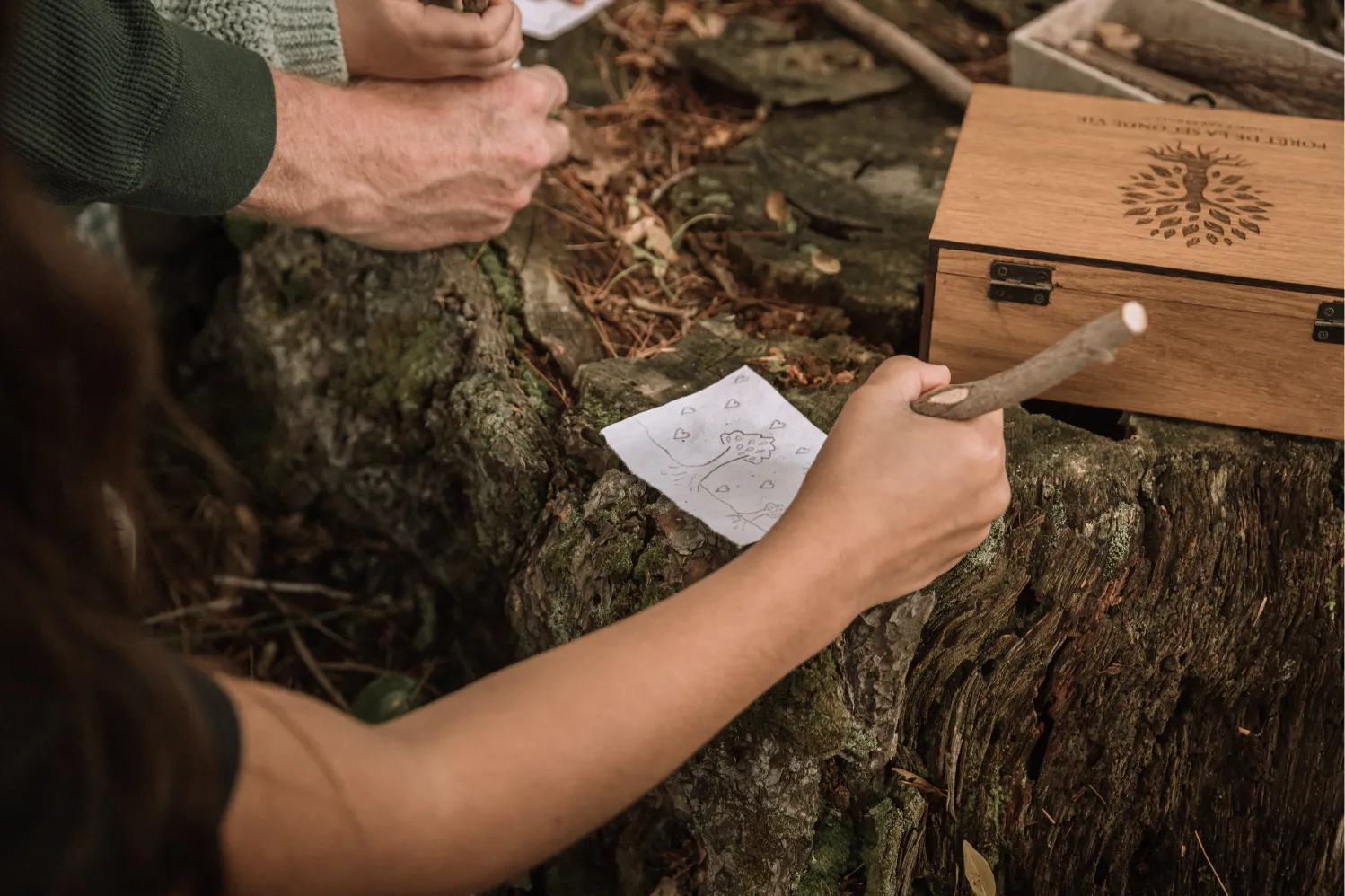Photo forêt de la seconde vie