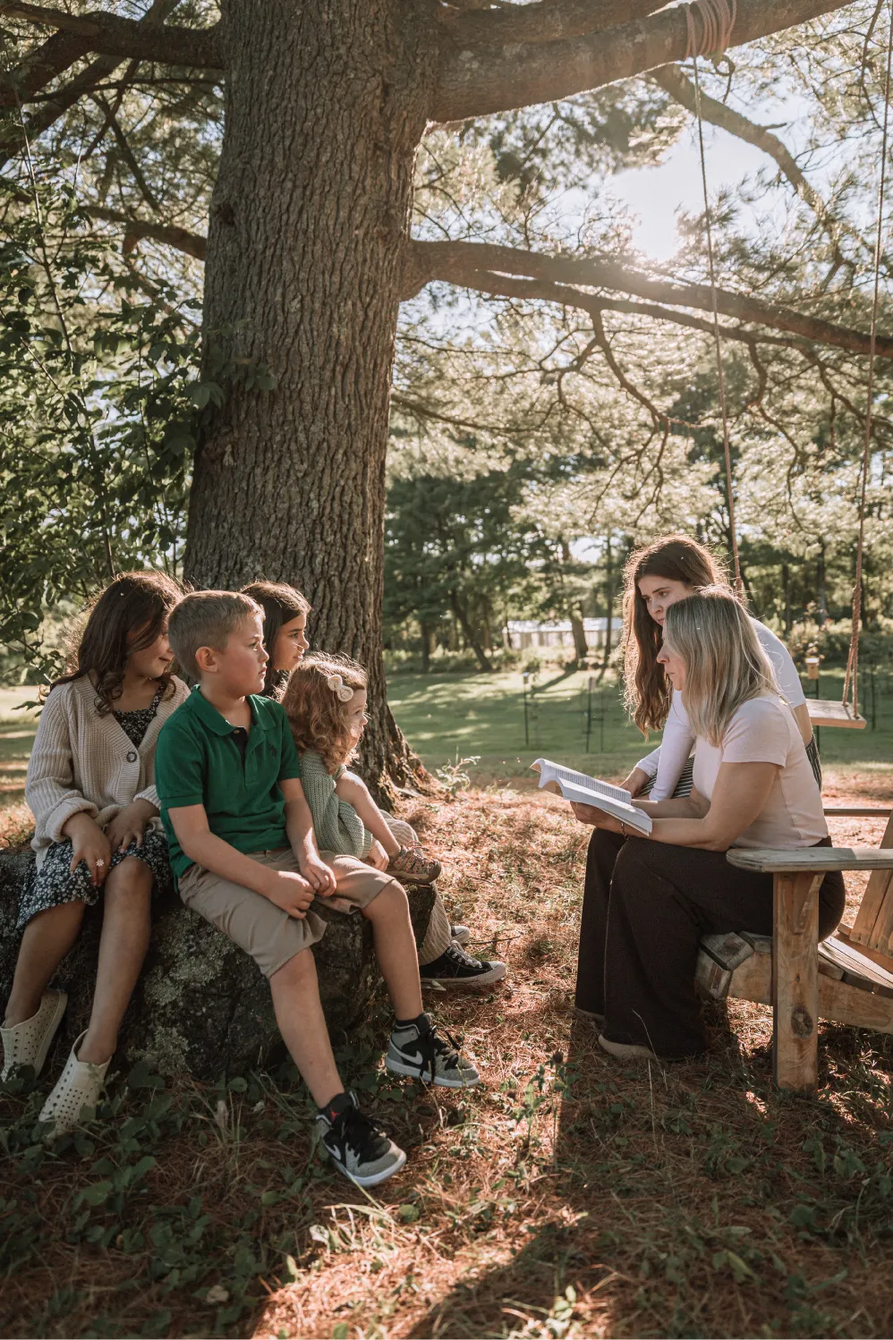 Photo forêt de la seconde vie