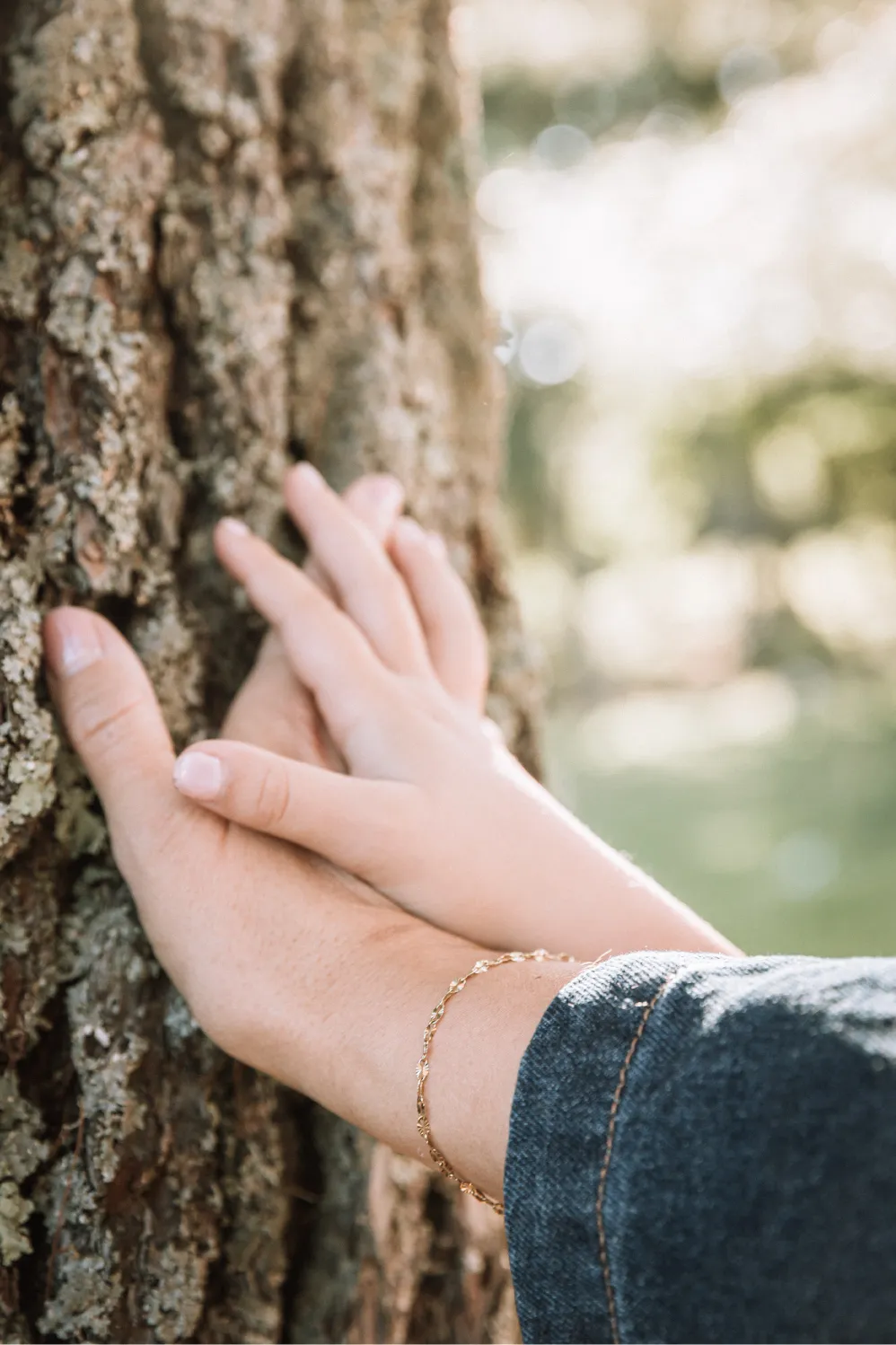 Photo forêt de la seconde vie
