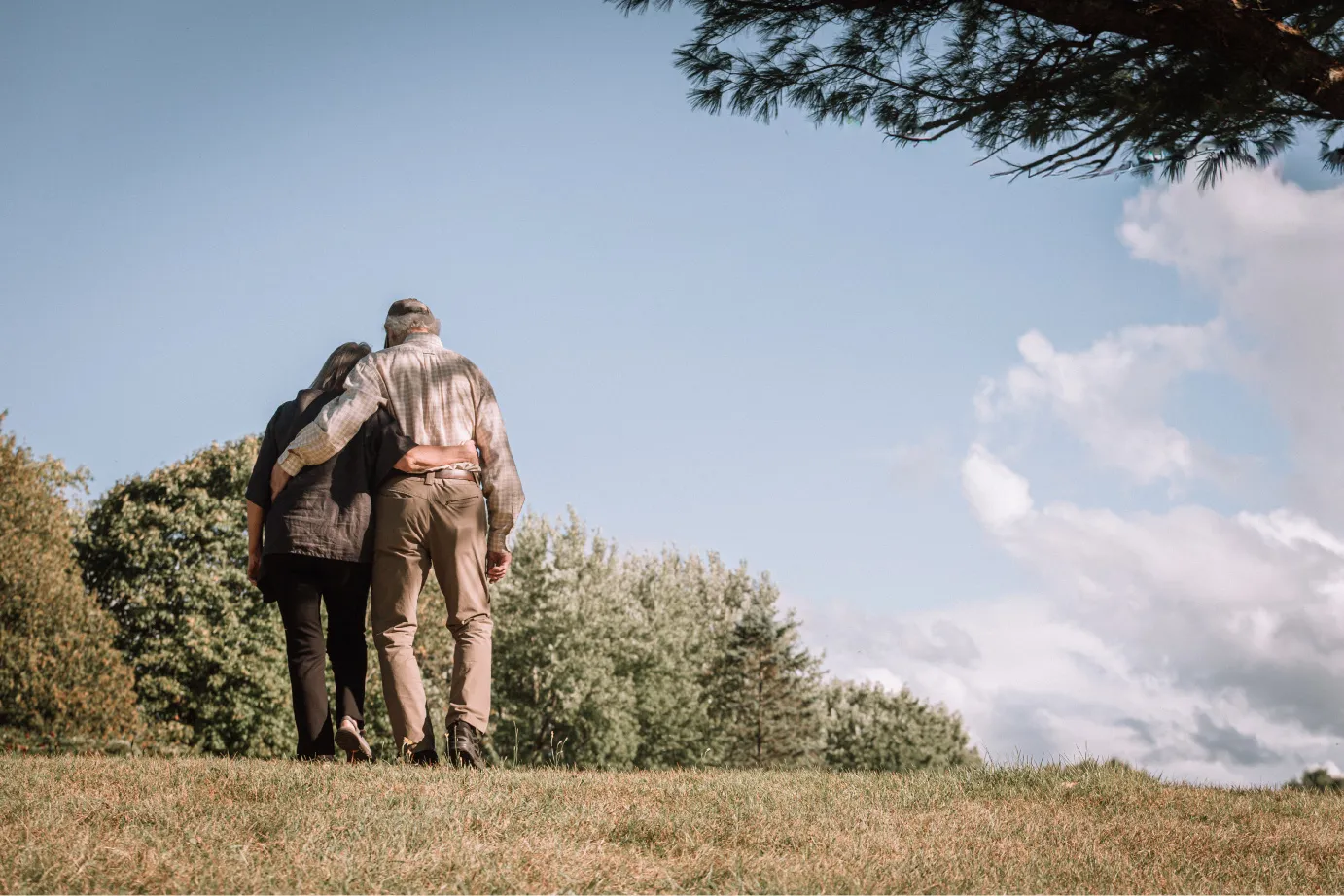 Photo forêt de la seconde vie