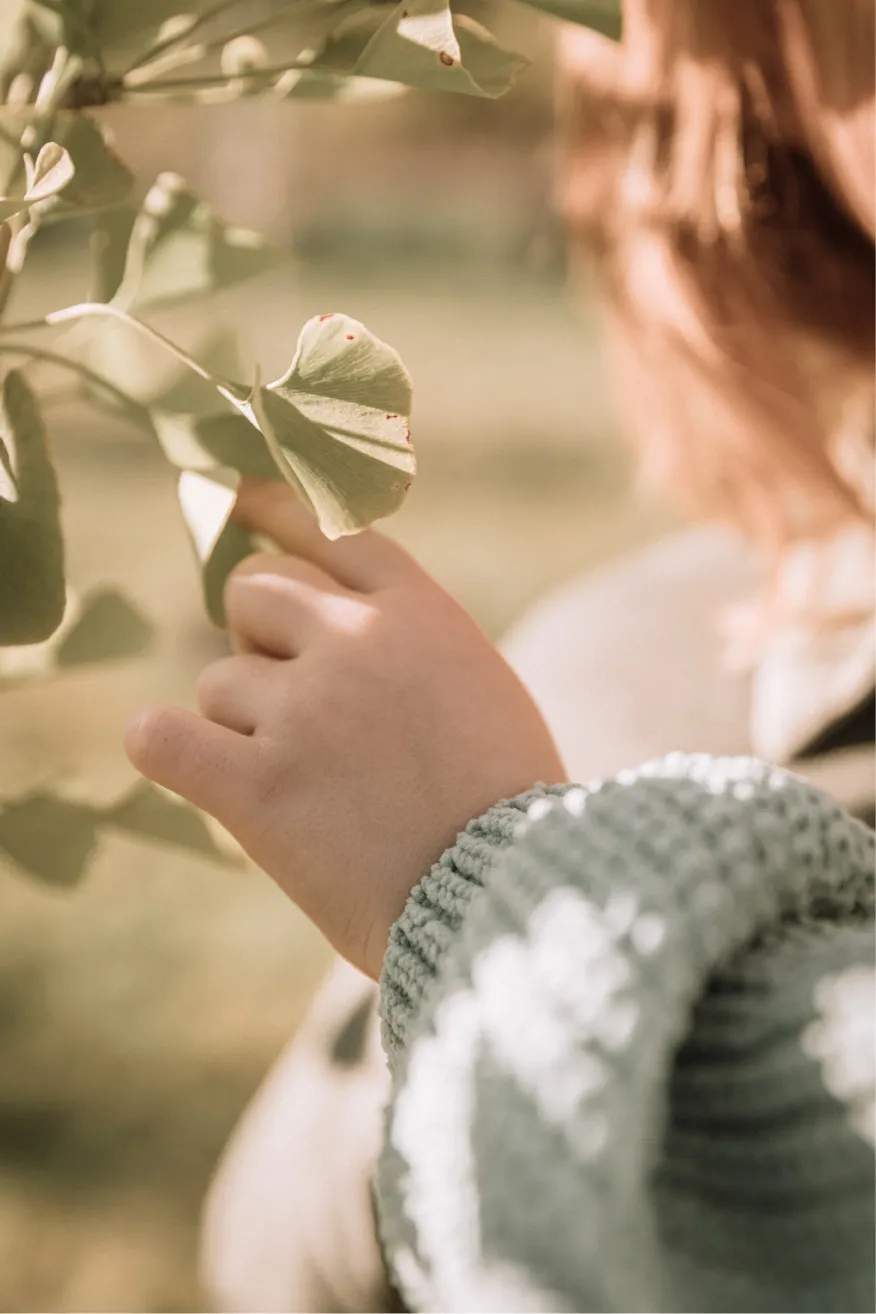 Photo forêt de la seconde vie