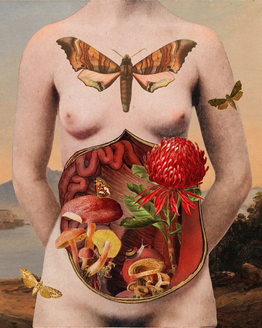 A collage of a nude open torso with flowers, mushrooms, and moths spilling out
